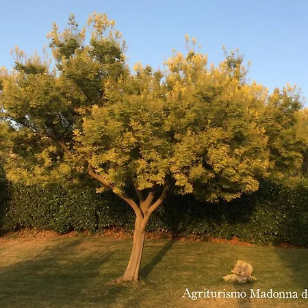 Farm stay Madonna Del Monte *