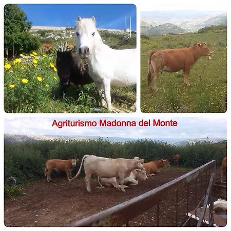 Madonna Del Monte *